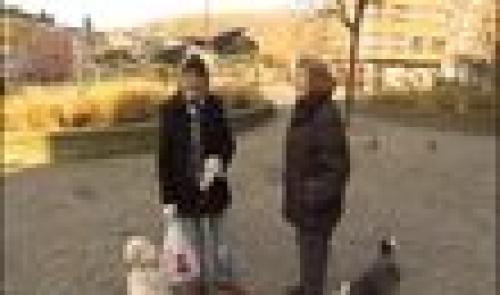 Liège : les seniors formulent des recommandations